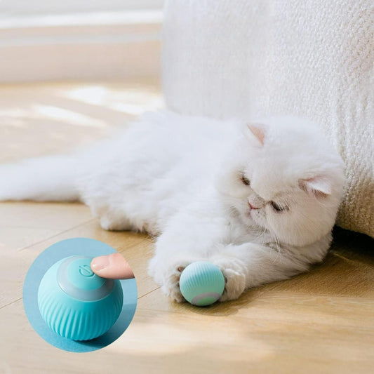 BounceBuddy™ | Pets' Favorite Self-Teasing Ball