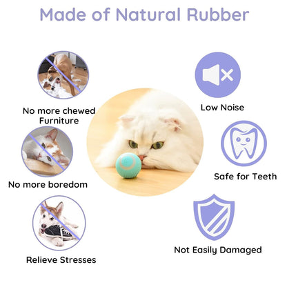 BounceBuddy™ | Pets' Favorite Self-Teasing Ball