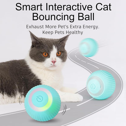 BounceBuddy™ | Pets' Favorite Self-Teasing Ball