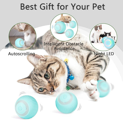 BounceBuddy™ | Pets' Favorite Self-Teasing Ball