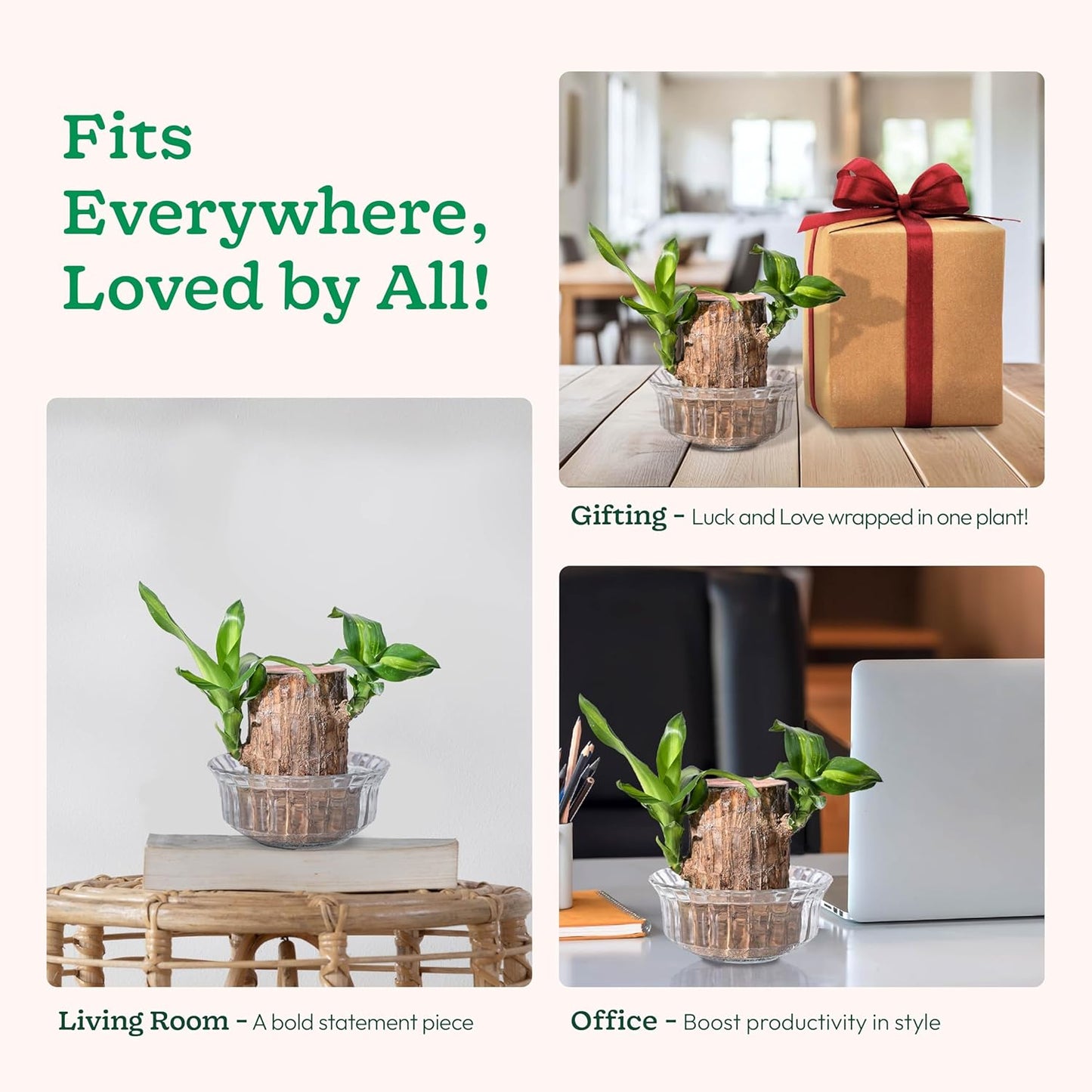 EverLeaf™ Brazilian Log Plant (Pack of 2)