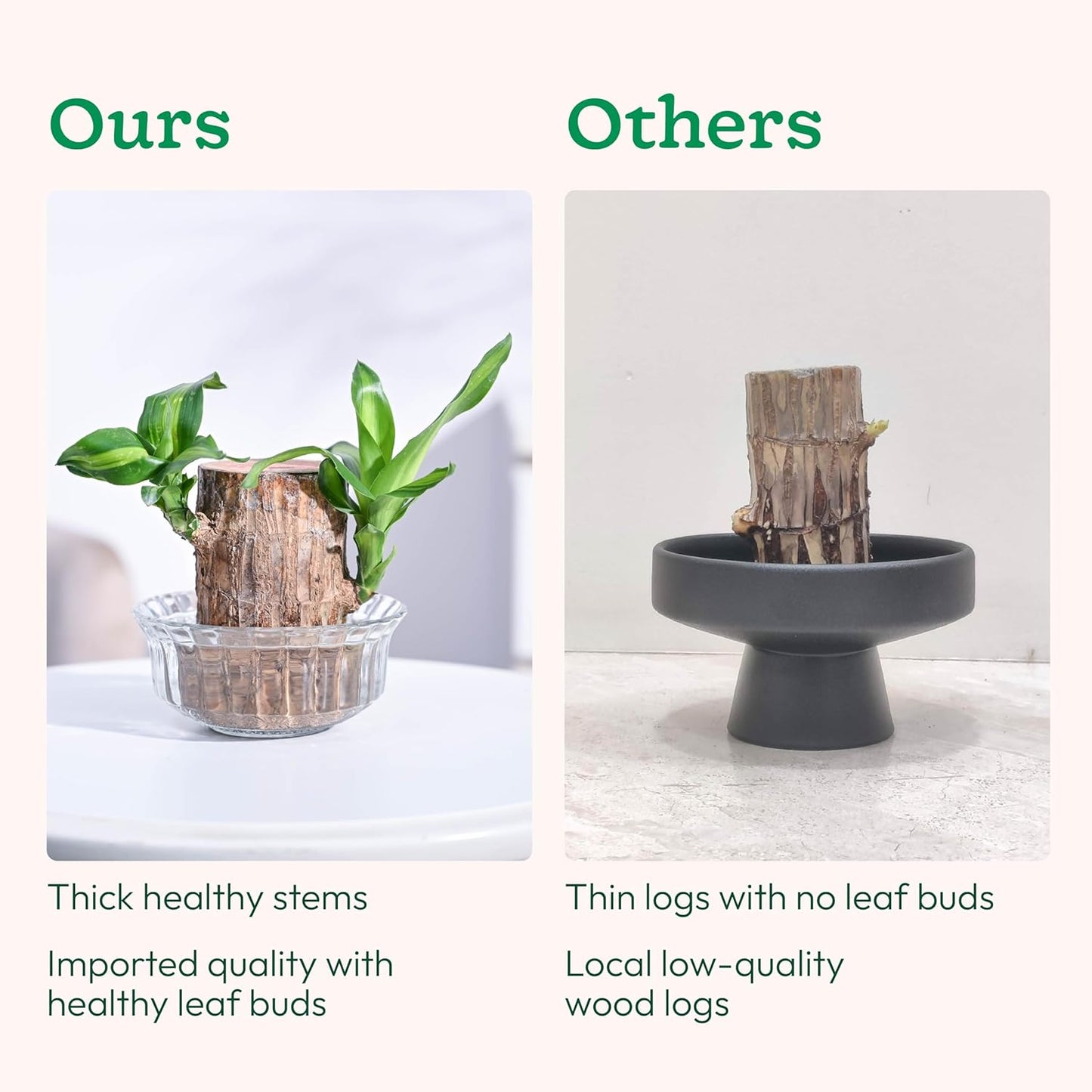 EverLeaf™ Brazilian Log Plant (Pack of 2)