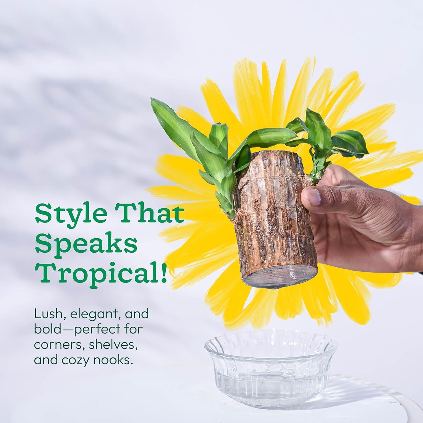 EverLeaf™ Brazilian Log Plant (Pack of 2)