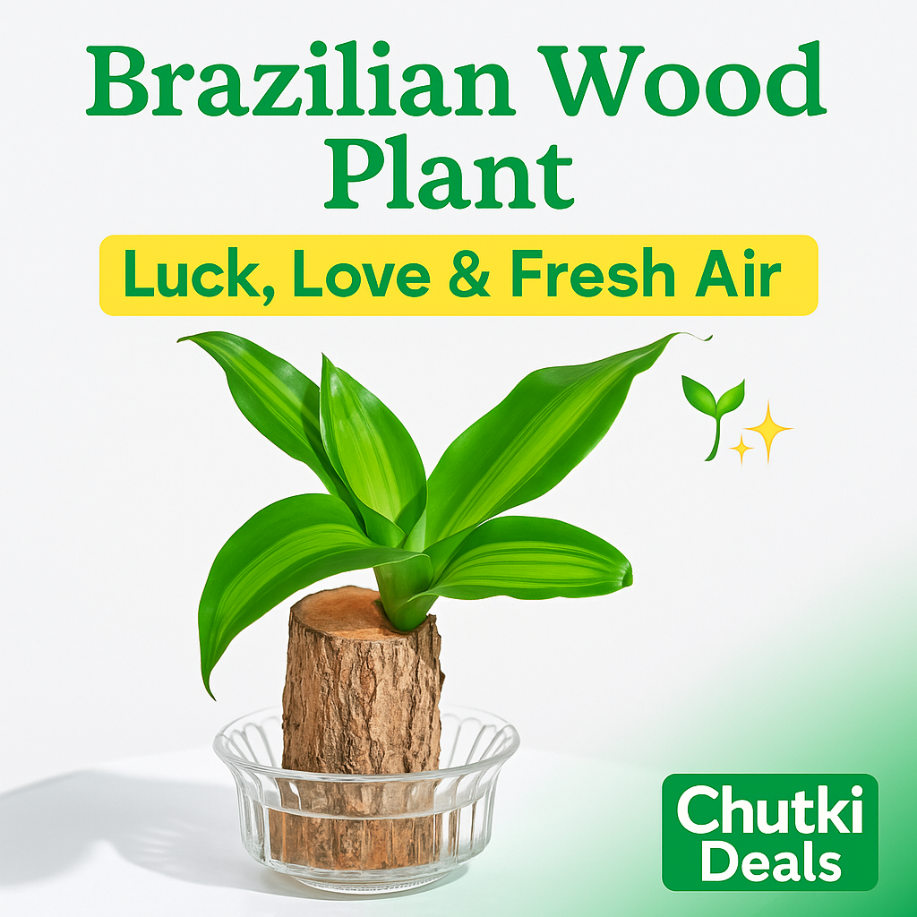 EverLeaf™ Brazilian Log Plant (Pack of 2)